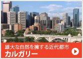 雄大な自然を擁する近代都市カルガリー